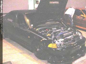 import_mega_show_chicago Show Images Page 1