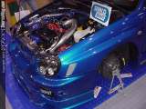 sema Show Images Page 2