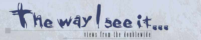 The way I see it....