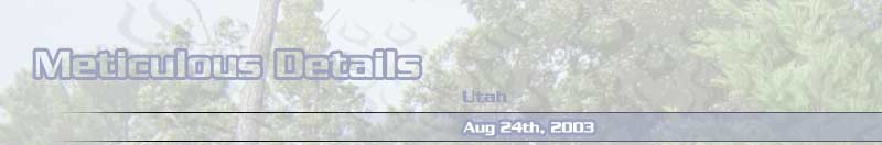 Meticulous Details