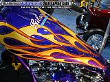 sema Show Images Page 9