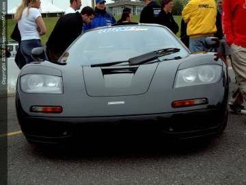 nopi Show Images Page 6