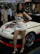 sema Show Images Page 18