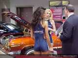 sema Show Images Page 15