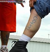 weeniestock Show Images Page 4