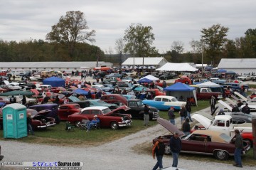 Pumpkin Show Images Page 3