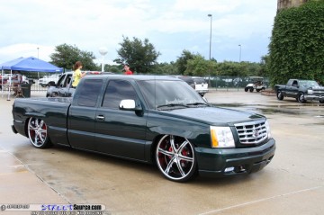 Siknic Show Images Page 4