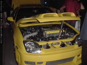 hotimportnights Show Images Page 3