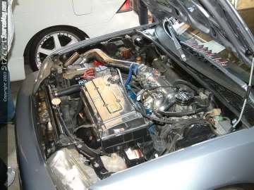 Showoff Show Images Page 4