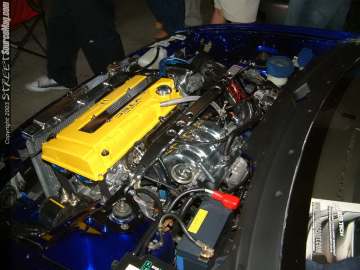 Showoff Show Images Page 4