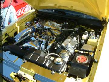 Showoff Show Images Page 5