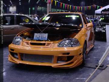 WOWChicago Show Images Page 2