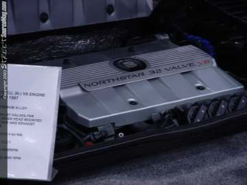 WOWChicago Show Images Page 3