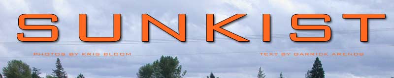 Sunkist