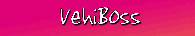 VehiBoss