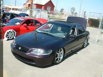 fff Show Images Page 2