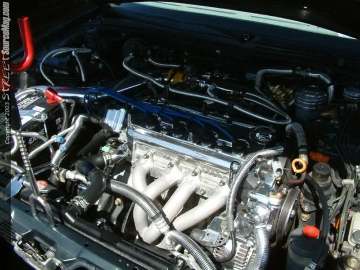 fff Show Images Page 3