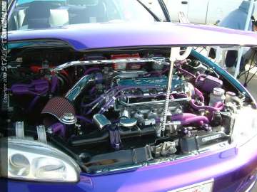 fff Show Images Page 9