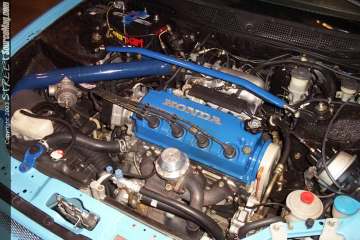 importinvasion Show Images Page 5