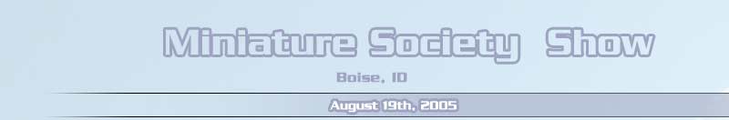 Miniature Society Show