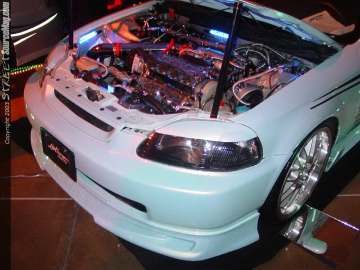 HINdelmar Show Images Page 1