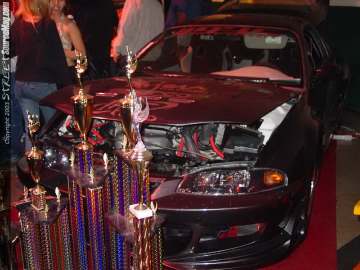 HINdelmar Show Images Page 2