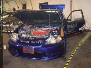 HINdelmar Show Images Page 2