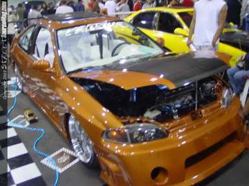 HINdelmar Show Images Page 2