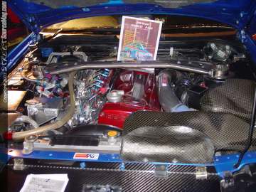 HINdelmar Show Images Page 4