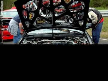 Limerock Show Images Page 4