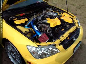 Limerock Show Images Page 4