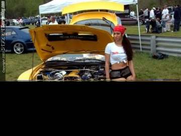 Limerock Show Images Page 6