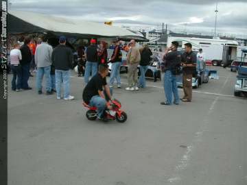 Stylefest Show Images Page 1