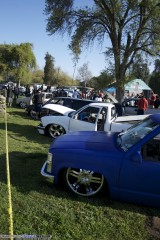 DangerZone Show Images Page 3