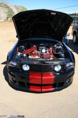 FFF Show Images Page 4