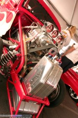 HotAugNightsShow Show Images Page 7