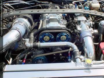 Jacksonville Show Images Page 1