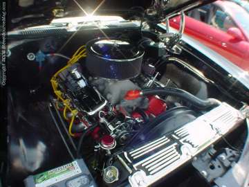 Jacksonville Show Images Page 1