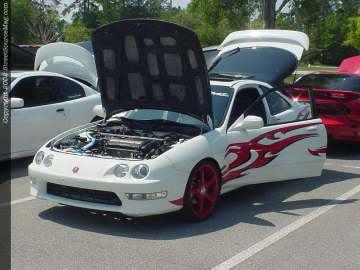 Jacksonville Show Images Page 1