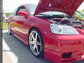 Jacksonville Show Images Page 3