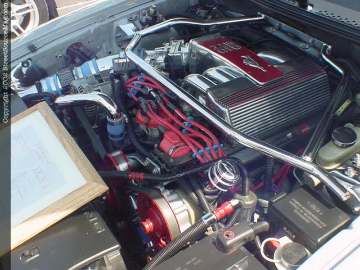 Jacksonville Show Images Page 4