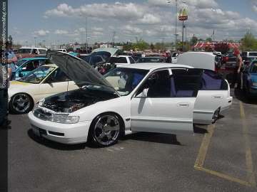 Ontarioshow Show Images Page 1