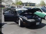 Ontarioshow Show Images Page 3
