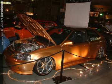 hinseattle Show Images Page 3