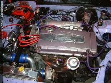 hinseattle Show Images Page 10