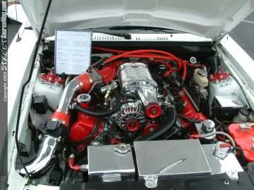 swift Show Images Page 2