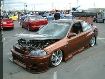 swift Show Images Page 5