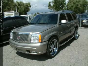 dub Show Images Page 2