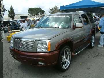 dub Show Images Page 3