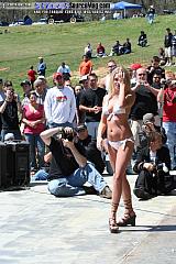 laydout06 Show Images Page 7